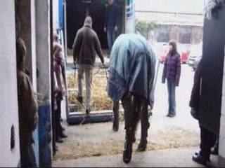 1er montage vidéo départ dans du manège