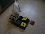 Apy poker box
