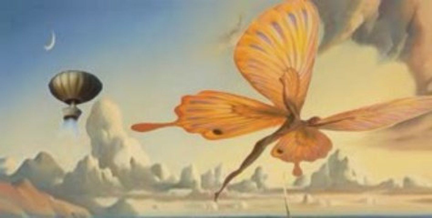 Fly