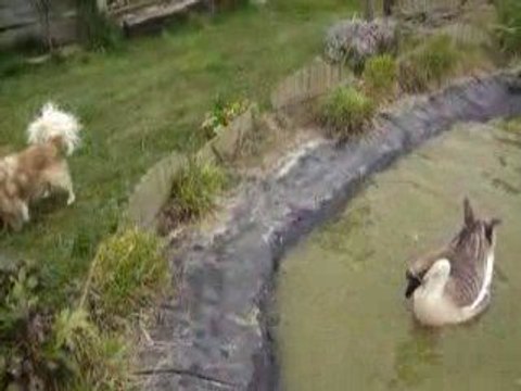 Causes toujours, tu m'intéresses !