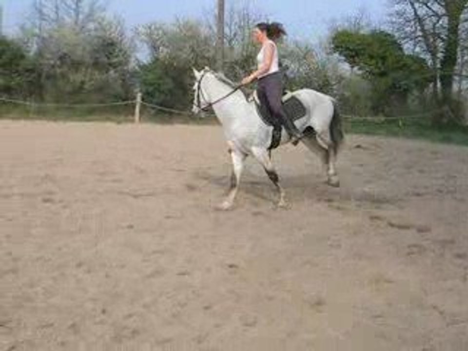 Marquez au galop !