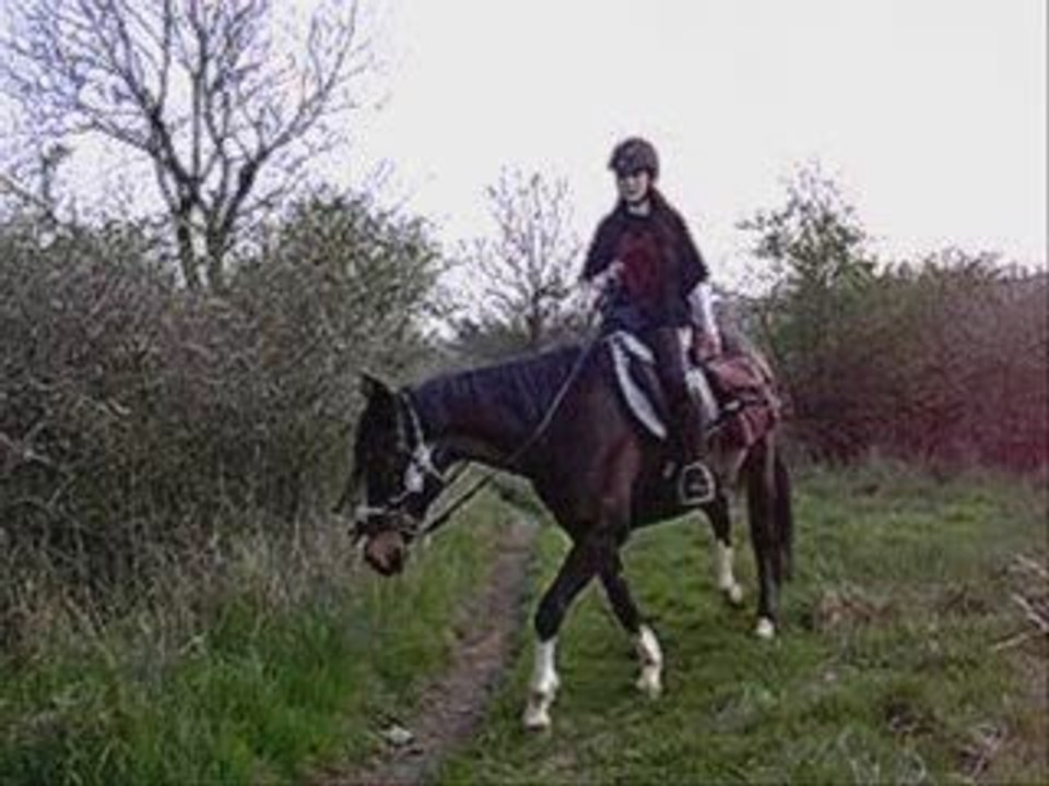 Sussu balade pique nique