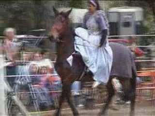 Les belles de Mai au Royaume des papillons partie 2