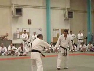 Sato -Shorinji ryu - Kata passai Explications