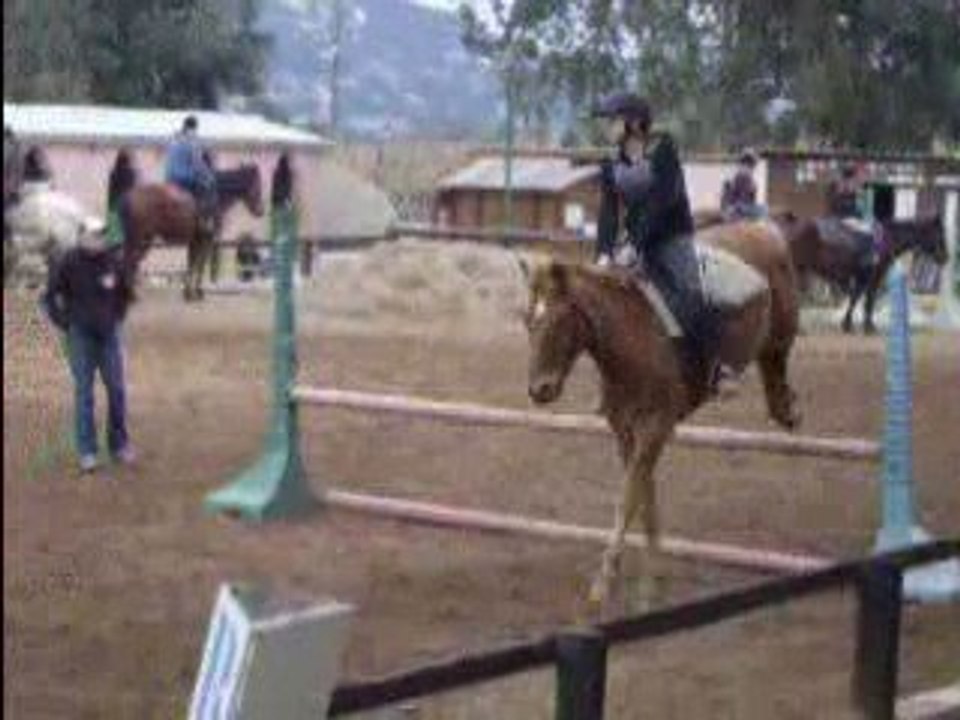 Photo 001