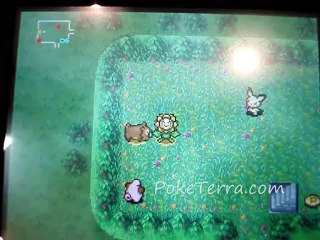 Démo Pokémon Donjon Mystère 3