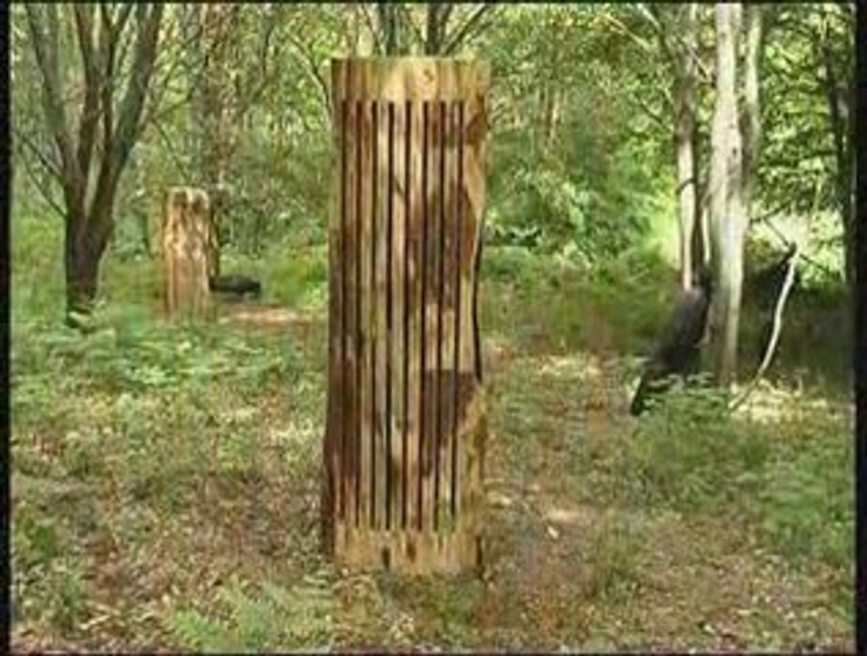 Arts Plastiques - Ardèche_002