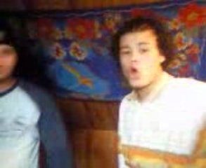 kreol masta tropical lion