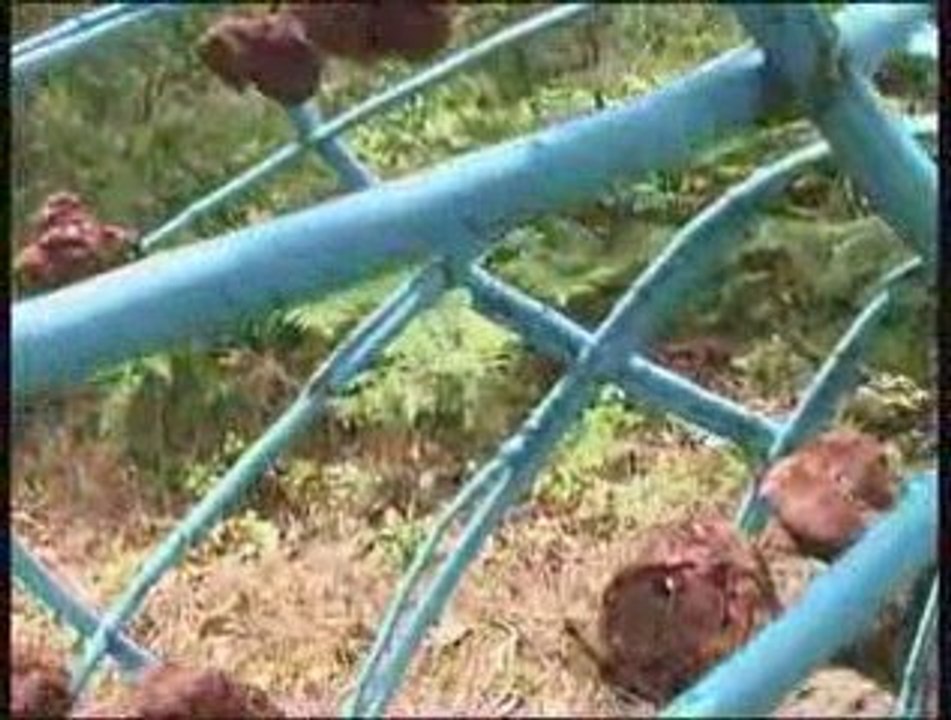 Arts Plastiques - Ardèche _003