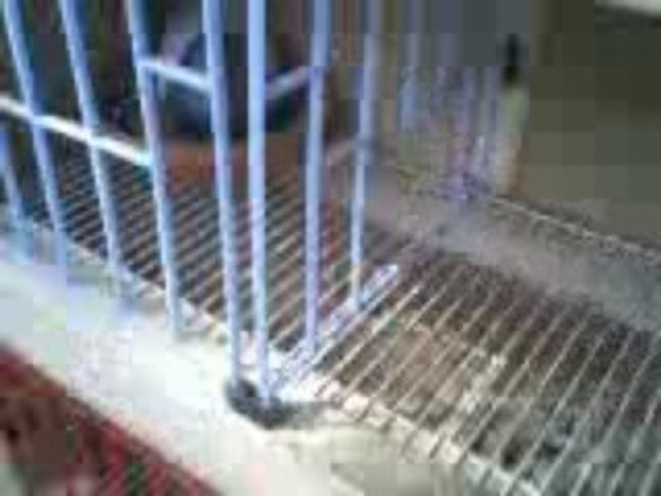 Pigeonnier des reproducteurs