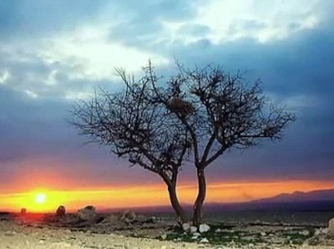 VOLKAN KONAK TAHİR İLE ZÜHRE