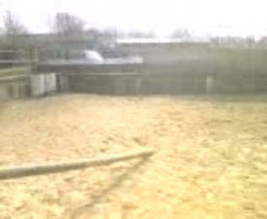 Video04041313