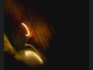 Vous Êtes Des Animaux