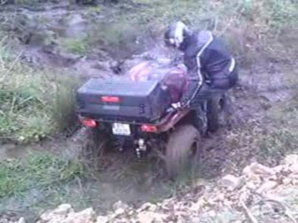 quad"3 grizzly qui patogent"