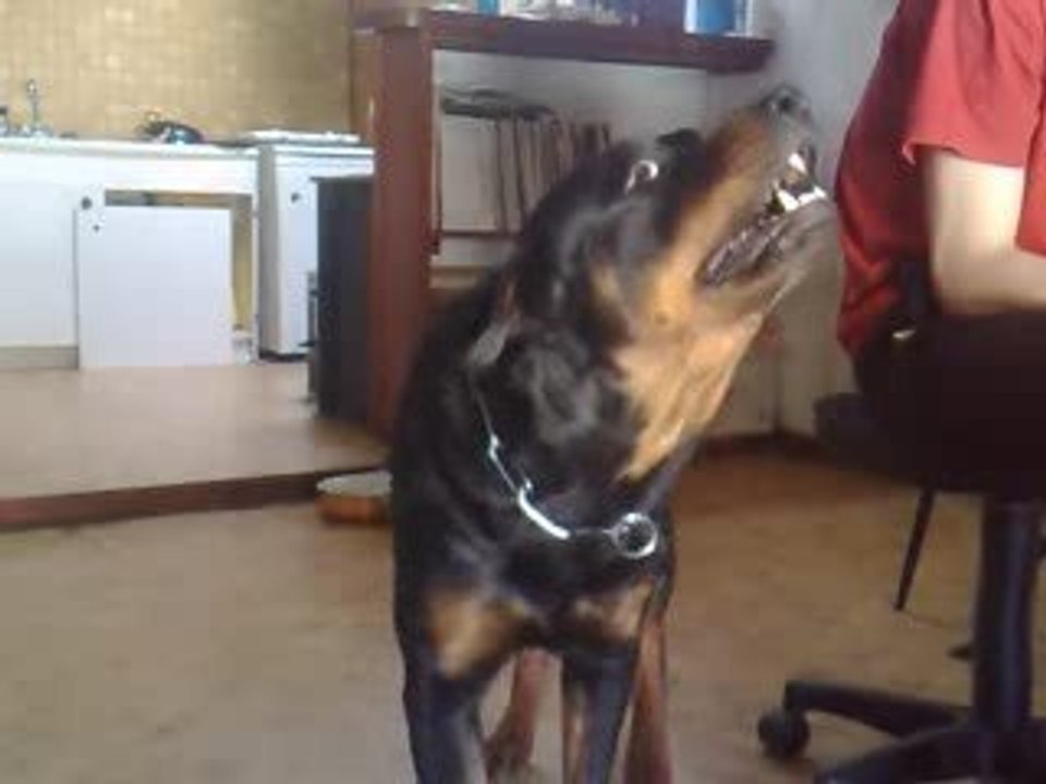 Lucky n'aime pas Sarko