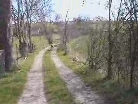 ballade de printemps vive la liberté