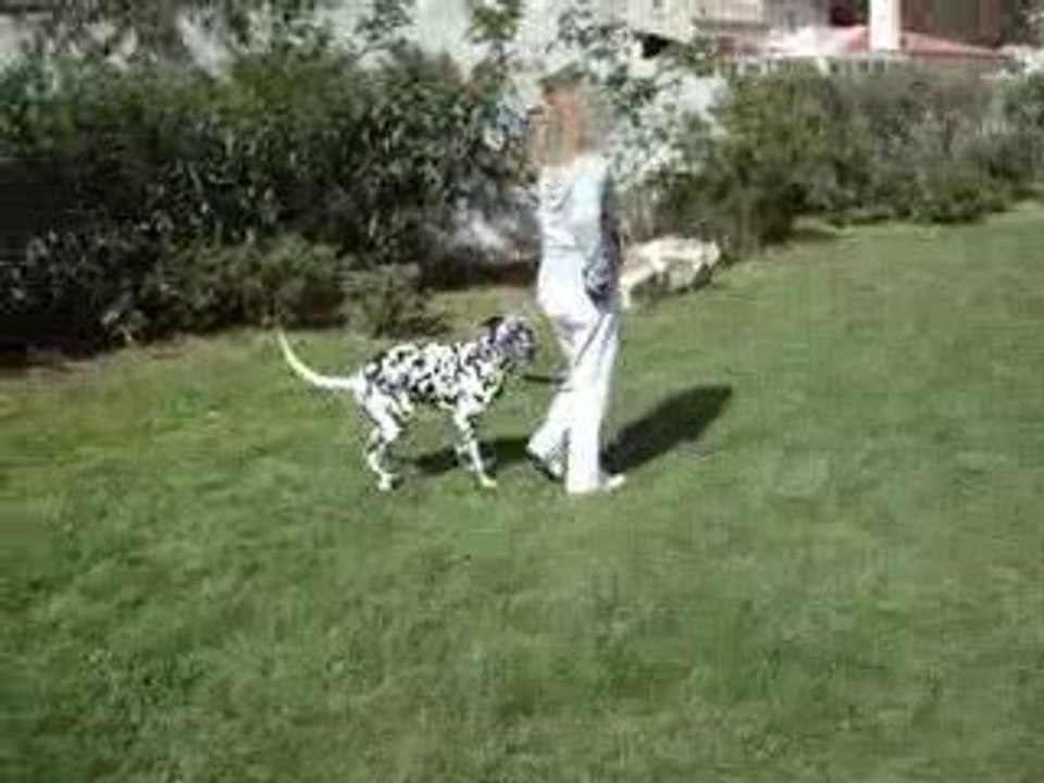 Ganda passeio