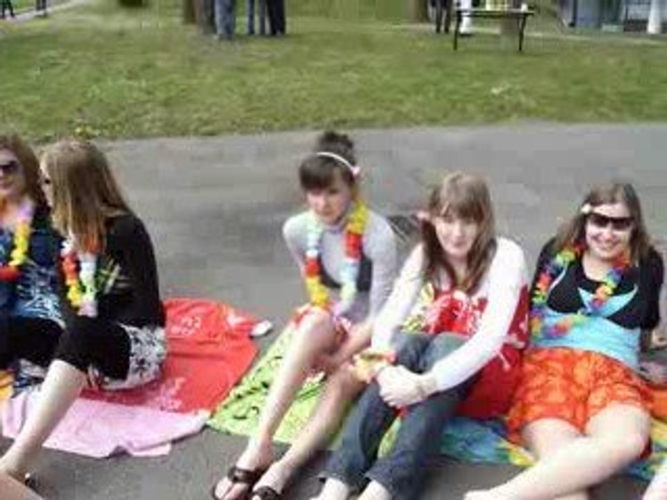 Les tcss