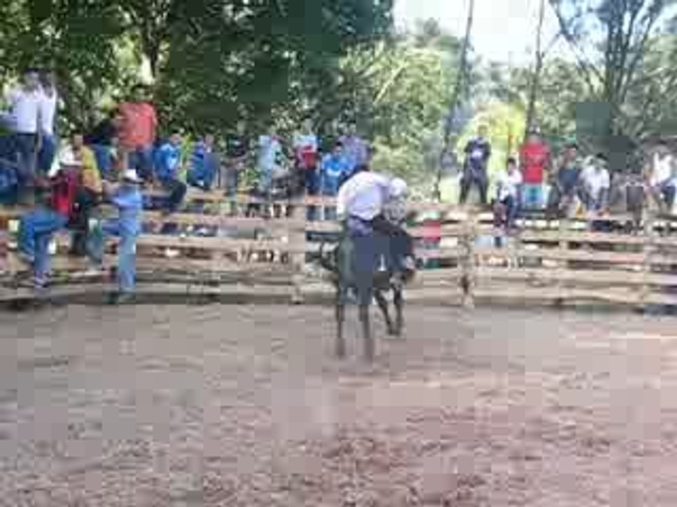 Rodeo au honduras