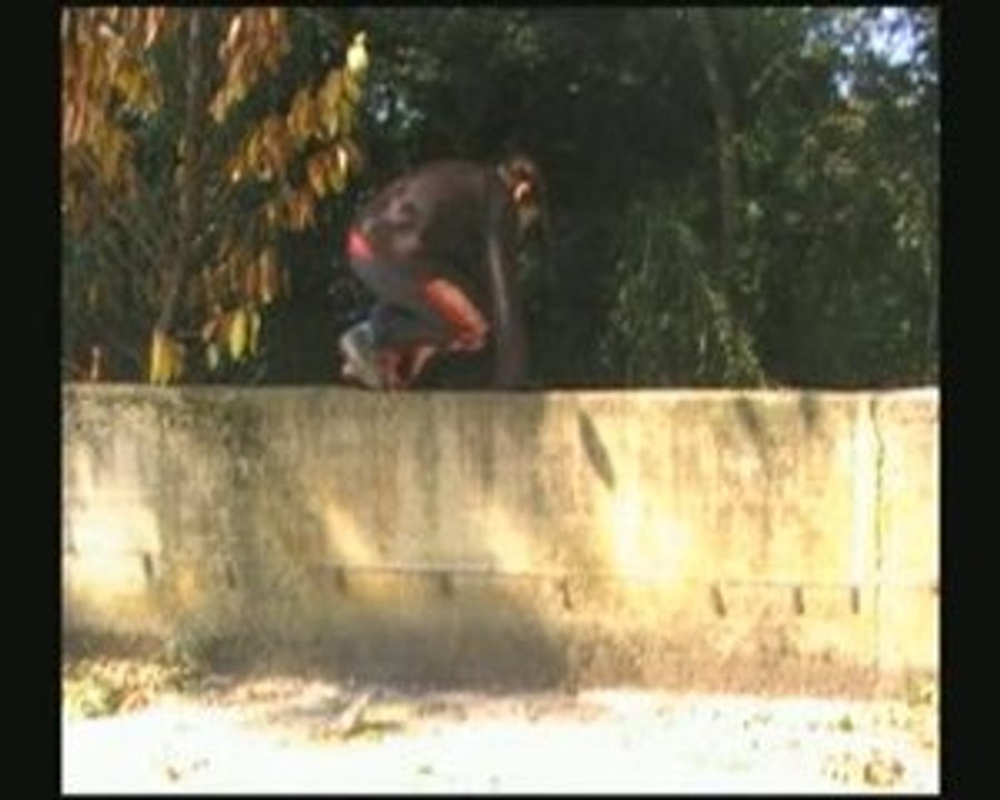 BA : Glan is back 2009