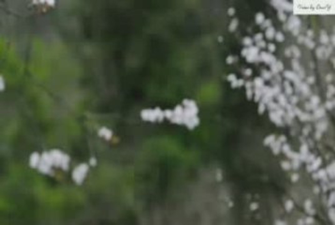 Spring in Istanbul