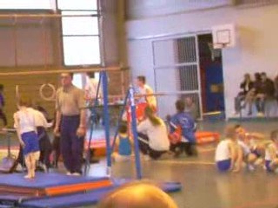 Barres paralleles dany