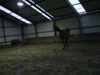 Marius