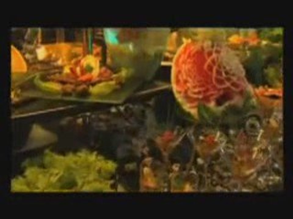 Fly-Jet Vidéo - Malév Hungarian Airlines 002