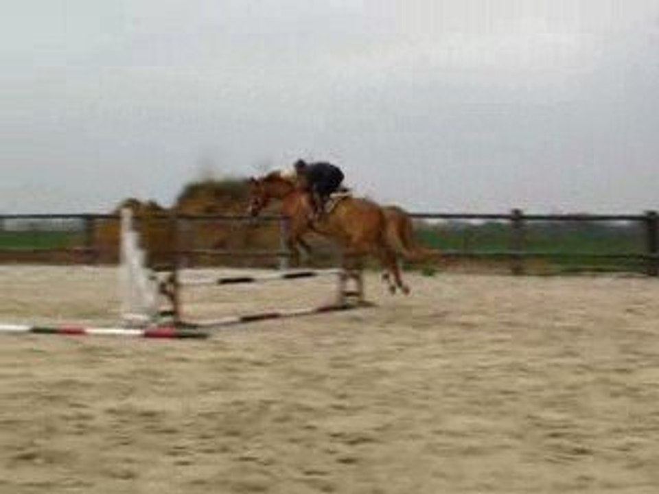 Quita 05-04-09 1
