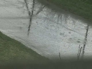 Les petits bouts d'une semaine - #10