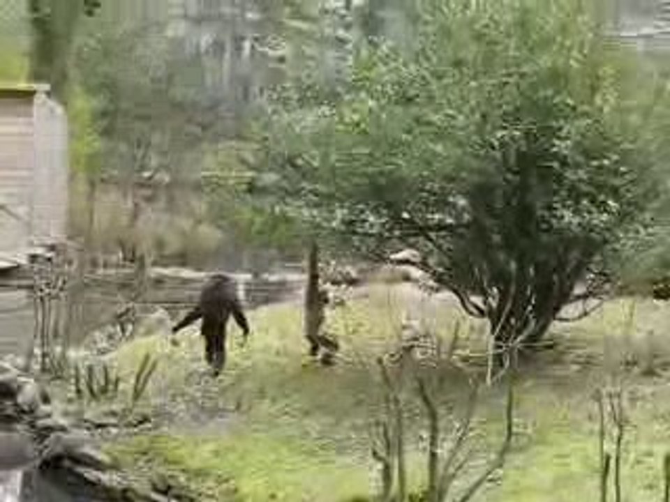 04 Avril 09 125