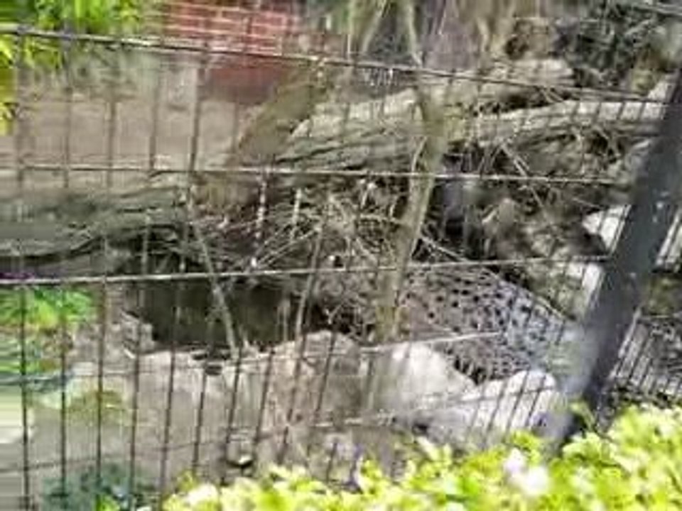 04 Avril 09 116