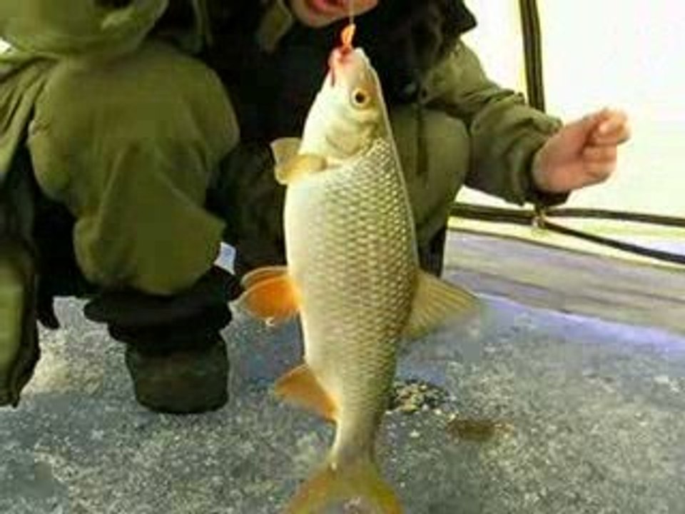 Чудское озеро, плотва - Загружено: Serg76