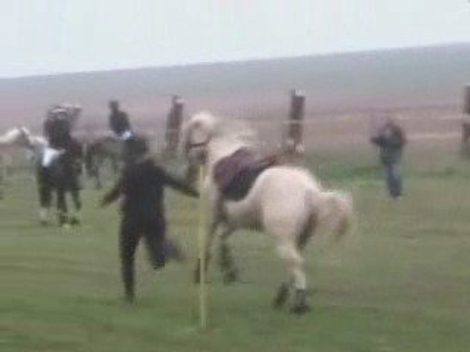 Ride and run