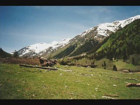 Gir-horana -recebim KAVRUN.TR.GG KAVRUN YAYLASI