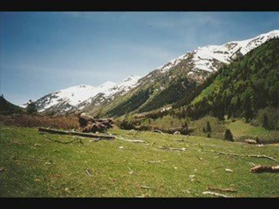 Gir-horana -recebim KAVRUN.TR.GG  KAVRUN YAYLASI