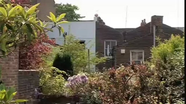 Urban beekeeping - (River Cottage Spring - episod2)