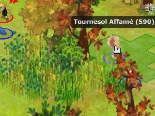 Dj champ tt seul avec xel