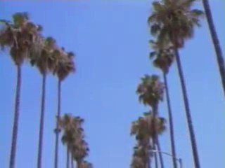 Tupac - To live and die in LA