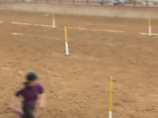 Valentine ( des Mastys )  Qui gagne la course des Factrices