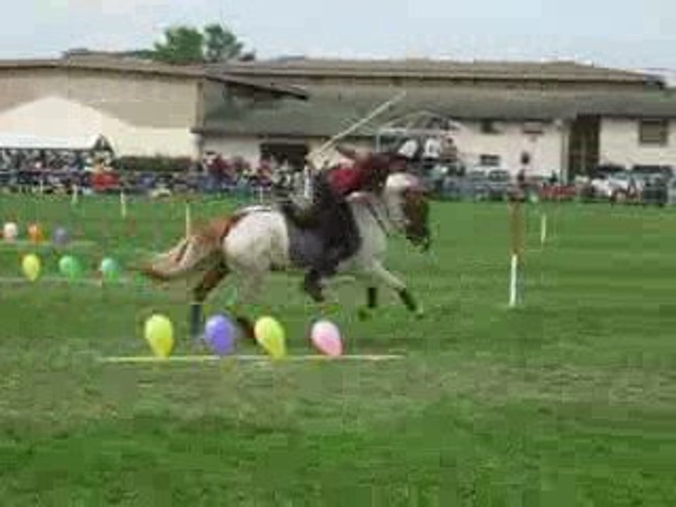 Ballons peter dale a tignieu stand by