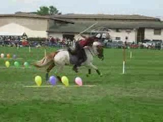 Ballons peter dale a tignieu stand by