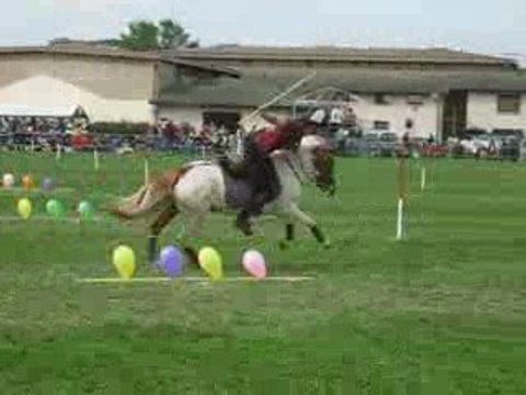 Ballons peter dale a tignieu stand by