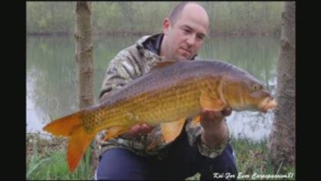 Session avril 2009_0001