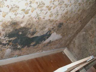 Adieu taudis, bonjour maison