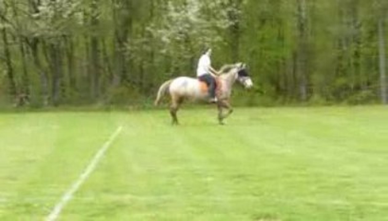 défi 19 au trot aveuglée