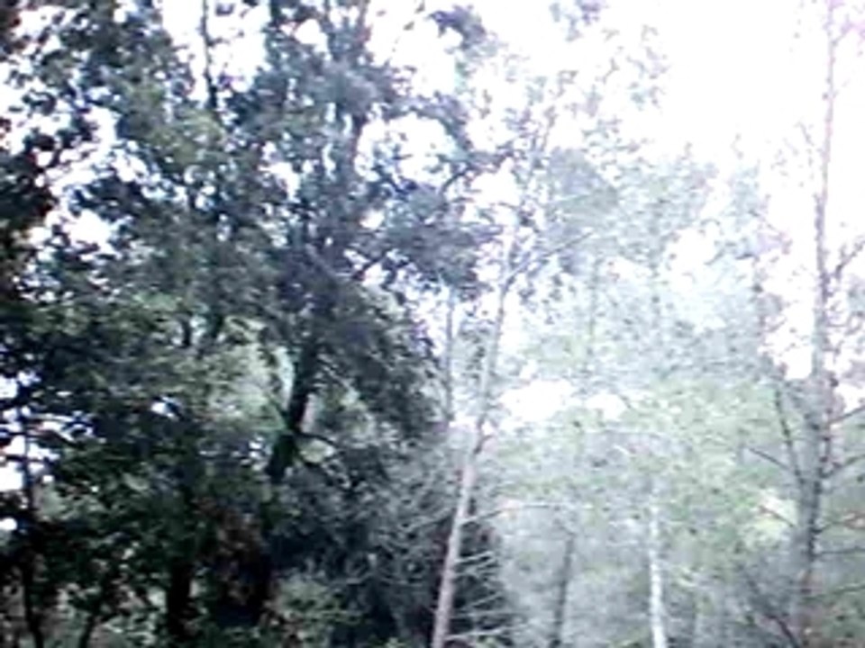 Stage Enduro Olivier Navarro Janas 19-04-09 AVI_0009