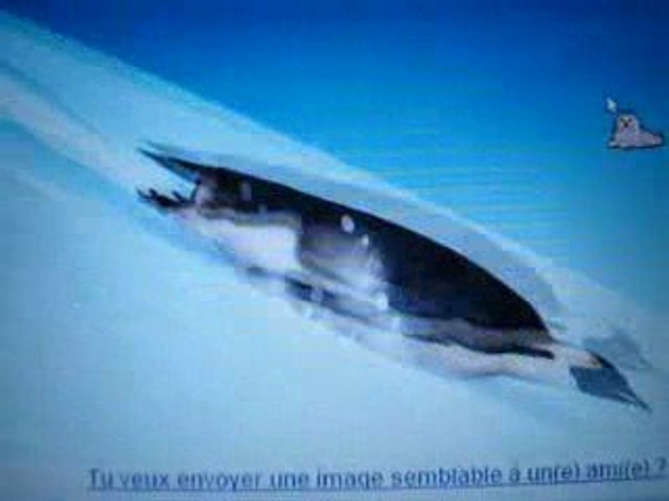 AVIS DE RECHERCHE