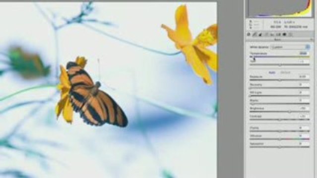 Creative COW : Camera Raw 1 : Photoshop Tutorial