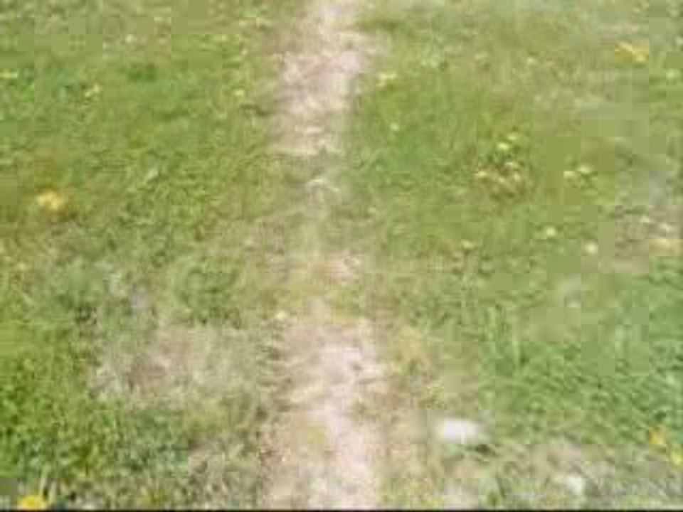 Terrain de vtt
